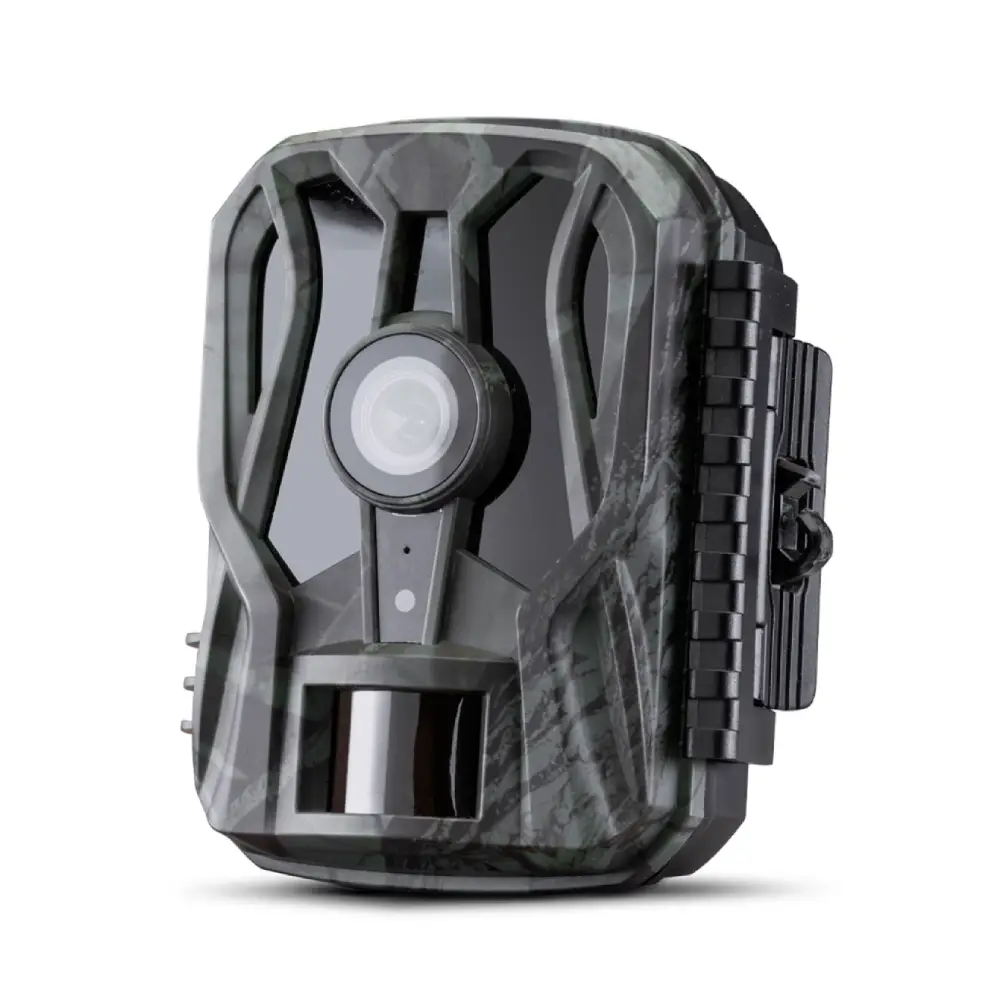 Wild Guardian Midland_1