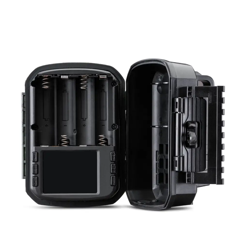 Wild Guardian Midland_3