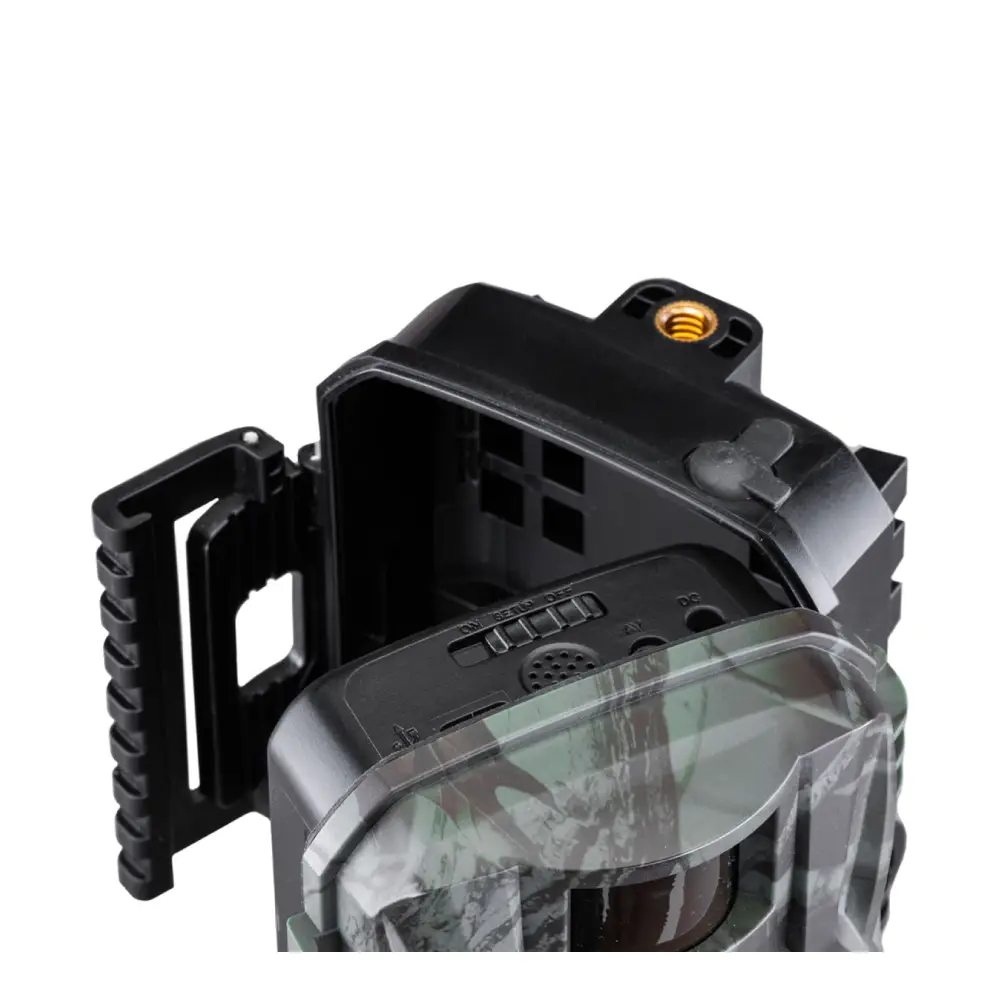 Wild Guardian Midland_4